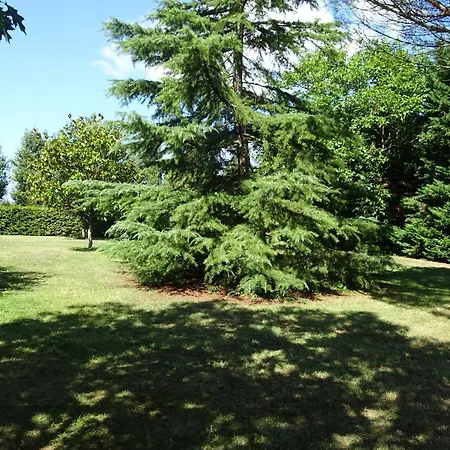 Ubytování v soukromí Privee Dans Spacieuse Maison Du Perigord, Avec Piscine *