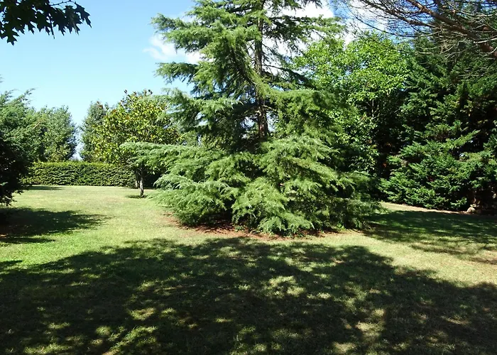 民宿 Privee Dans Spacieuse Maison Du Perigord, Avec Piscine *